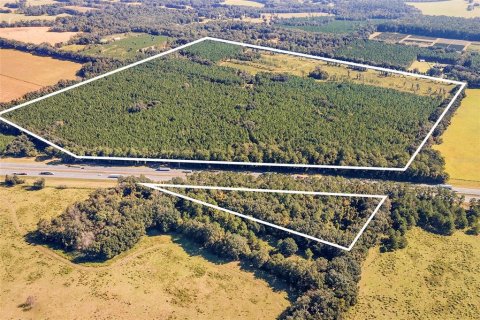 Land in Alachua, Florida № 1295250 - photo 6