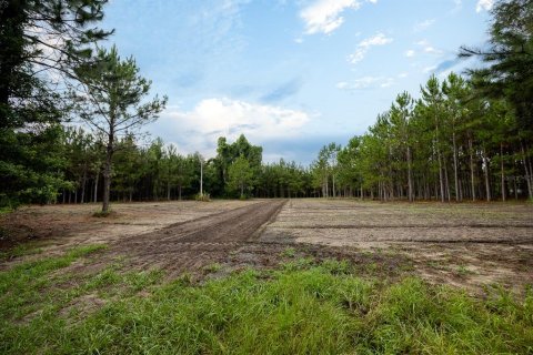 Land in Alachua, Florida № 1295250 - photo 26