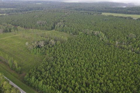 Land in Alachua, Florida № 1295250 - photo 14