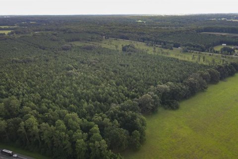 Land in Alachua, Florida № 1295250 - photo 12