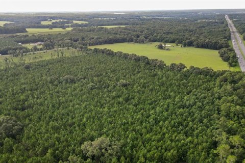 Land in Alachua, Florida № 1295250 - photo 18