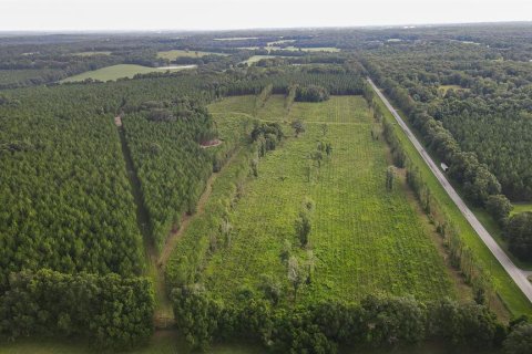 Land in Alachua, Florida № 1295250 - photo 13
