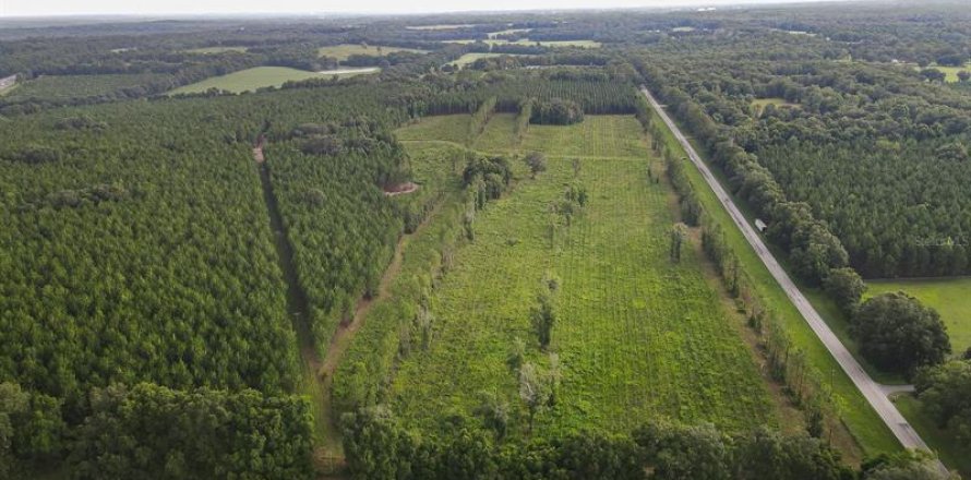 Land in Alachua, Florida № 1295250