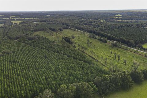 Land in Alachua, Florida № 1295250 - photo 9