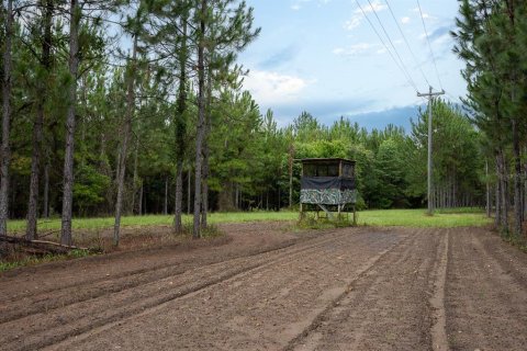 Land in Alachua, Florida № 1295250 - photo 29