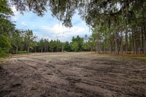 Land in Alachua, Florida № 1295250 - photo 27
