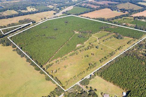 Land in Alachua, Florida № 1295250 - photo 3
