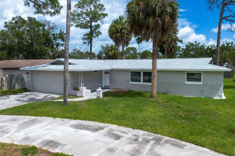 Villa ou maison à vendre à Port Richey, Floride: 3 chambres, 136.38 m2 № 2220849 - photo 3