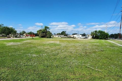 Land in Punta Gorda, Florida № 1751074 - photo 4