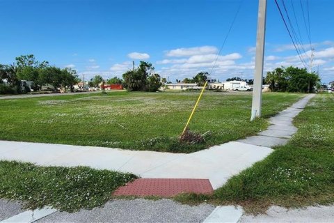 Land in Punta Gorda, Florida № 1751074 - photo 5