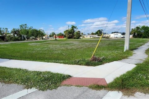 Land in Punta Gorda, Florida № 1751074 - photo 3