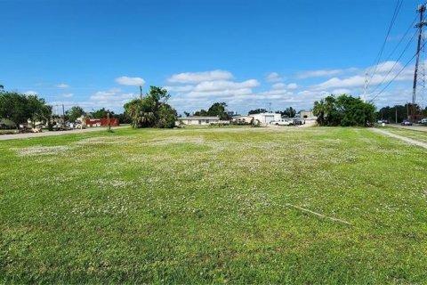 Land in Punta Gorda, Florida № 1751074 - photo 2