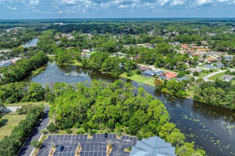 Land in Palm Coast, Florida № 1917265 - photo 21