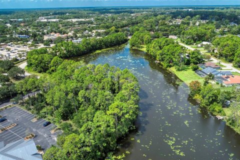 Land in Palm Coast, Florida № 1917265 - photo 19