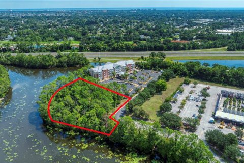 Land in Palm Coast, Florida № 1917265 - photo 11