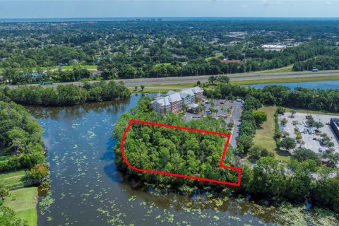 Land in Palm Coast, Florida № 1917265 - photo 13