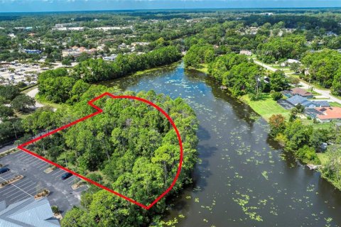Land in Palm Coast, Florida № 1917265 - photo 20