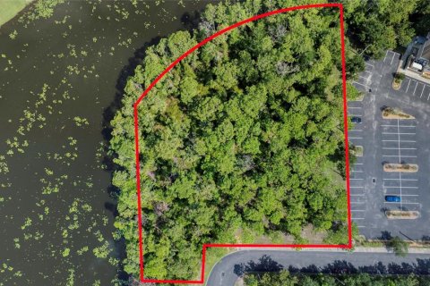 Land in Palm Coast, Florida № 1917265 - photo 5