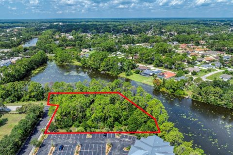 Land in Palm Coast, Florida № 1917265 - photo 22