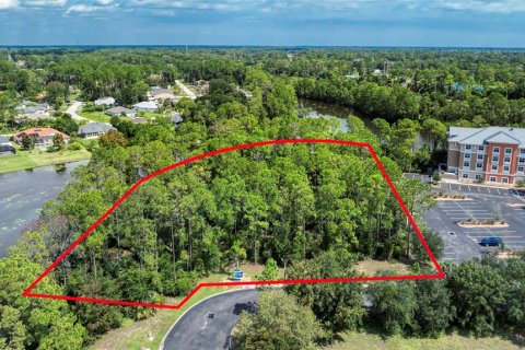 Land in Palm Coast, Florida № 1917265 - photo 3