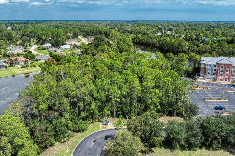 Land in Palm Coast, Florida № 1917265 - photo 2