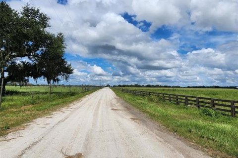 Land in Ona, Florida № 1910401 - photo 10