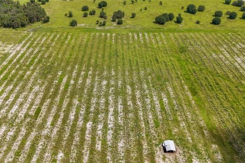 Land in Ona, Florida № 1910401 - photo 12