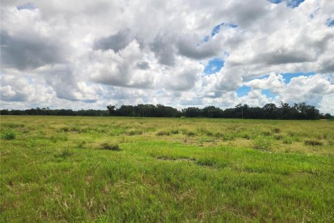 Land in Ona, Florida № 1910401 - photo 7