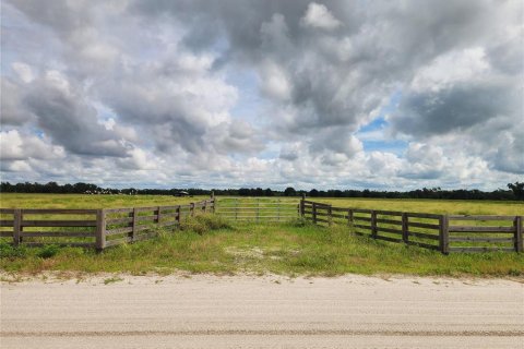 Land in Ona, Florida № 1910401 - photo 5