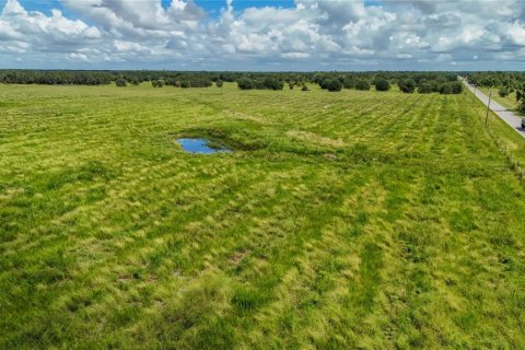 Land in Ona, Florida № 1910401 - photo 14