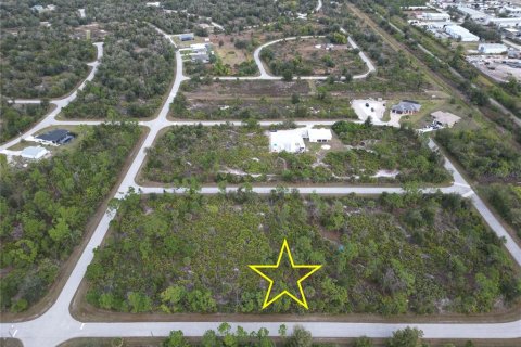 Land in Port Charlotte, Florida № 2165315 - photo 2