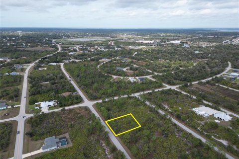 Land in Port Charlotte, Florida № 2165315 - photo 6