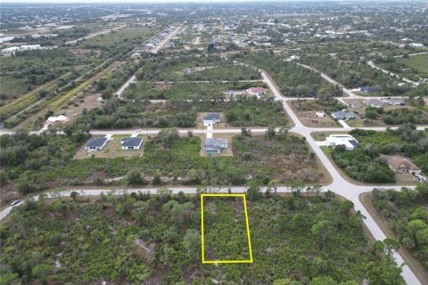 Land in Port Charlotte, Florida № 2165315 - photo 9