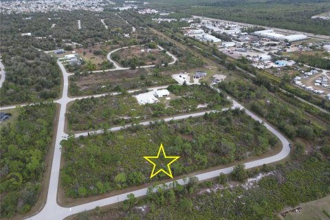 Land in Port Charlotte, Florida № 2165315 - photo 5