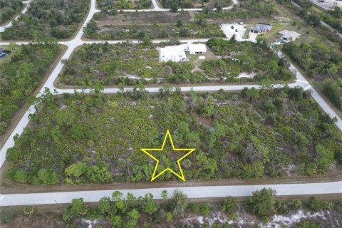 Land in Port Charlotte, Florida № 2165315