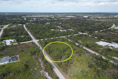 Land in Port Charlotte, Florida № 2165315 - photo 8