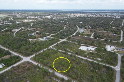 Land in Port Charlotte, Florida № 2165315 - photo 7