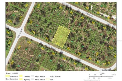 Land in Port Charlotte, Florida № 2165315 - photo 4