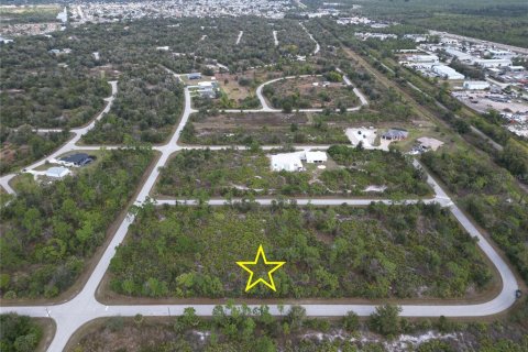 Land in Port Charlotte, Florida № 2165315 - photo 3