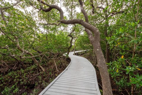 Terreno en venta en Longboat Key, Florida № 1545692 - foto 14