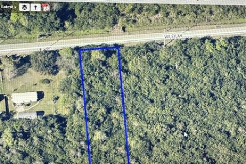 Land in Mims, Florida № 259643 - photo 1