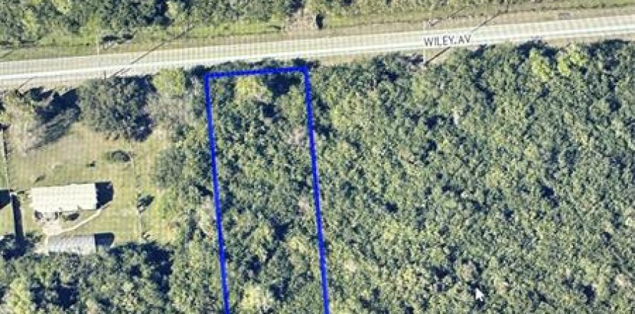 Land in Mims, Florida № 259643