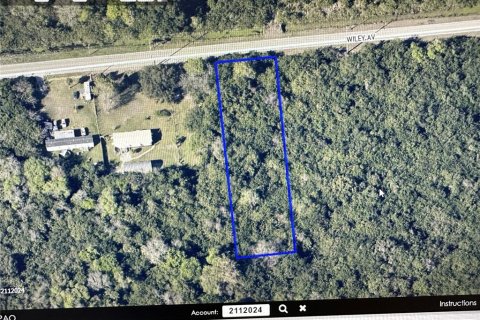 Land in Mims, Florida № 259643 - photo 3