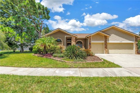House in Tampa, Florida 4 bedrooms, 197.79 sq.m. № 1886289 - photo 1