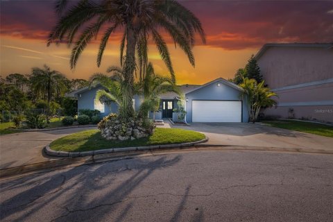 Villa ou maison à vendre à Port Richey, Floride: 3 chambres, 158.68 m2 № 1670158 - photo 1