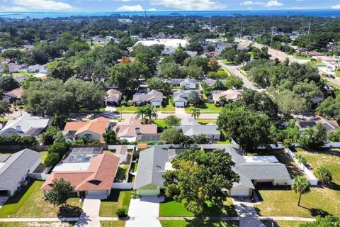 Villa ou maison à vendre à Palm Harbor, Floride: 4 chambres, 189.52 m2 № 2419352 - photo 6