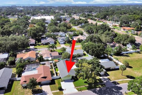Villa ou maison à vendre à Palm Harbor, Floride: 4 chambres, 189.52 m2 № 2419352 - photo 8