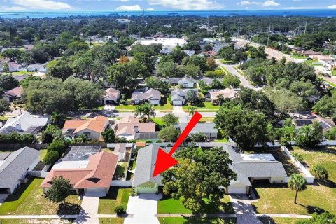 Villa ou maison à vendre à Palm Harbor, Floride: 4 chambres, 189.52 m2 № 2419352 - photo 5
