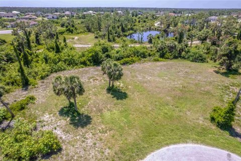 Land in Rotonda, Florida № 1755082 - photo 1