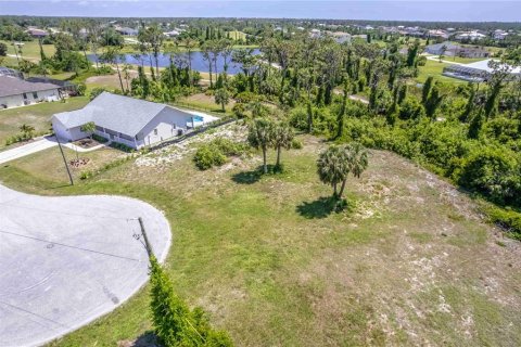 Land in Rotonda, Florida № 1755082 - photo 6